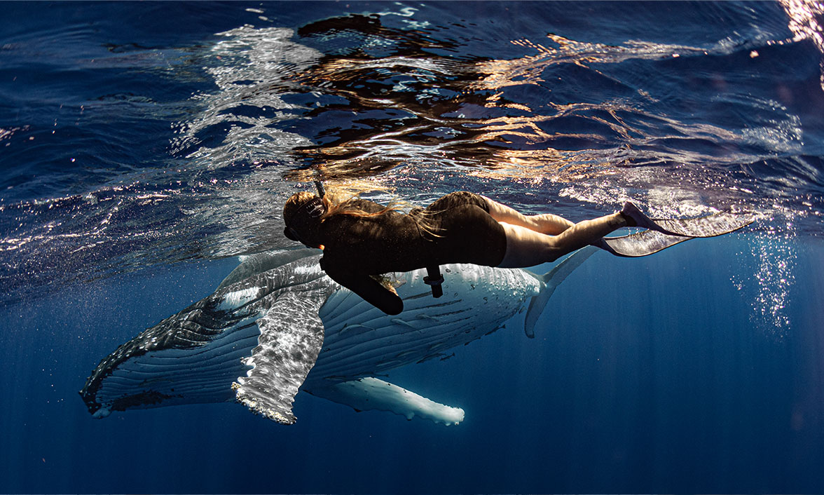 Nadar con ballenas, una experiencia que despierta conciencias